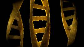 Timeline: Desde Mendel hasta el descubrimiento del material genético (ADN)