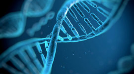 Timeline: Historia del ADN