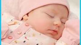 Timeline: naci en el 2003