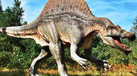 Timeline: LOS DINOSAURIOS