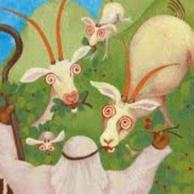 Timeline: La Historia del Café