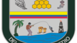 Timeline: Autoevaluación Institucional CEMM