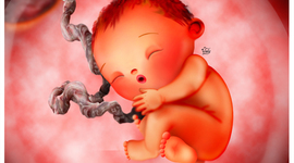 Timeline: DESARROLLO SPICOMOTOR DE LOS NIÑOS DE 0 A 7 AÑOS