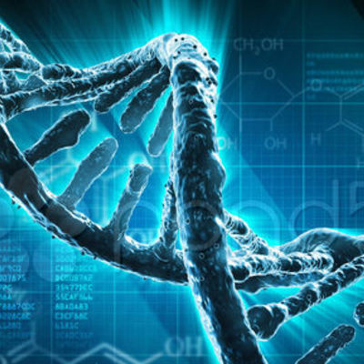 Timeline: Cronología del ADN