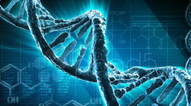 Timeline: Cronología del ADN
