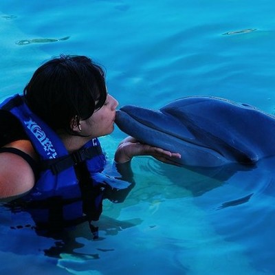 Timeline: ARIEL CORTES