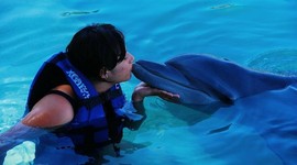 Timeline: ARIEL CORTES