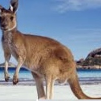 Timeline:         History of Australia      by eben