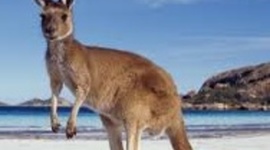 Timeline:         History of Australia      by eben