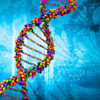 Timeline: Los científicos y la genética.