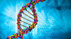 Timeline: Los científicos y la genética.