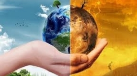 Timeline: 10 Consejos para cuidar el Medio Ambiente