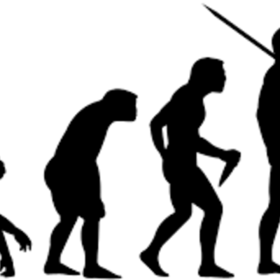 Timeline: Evolución del hombre - Juan Pablo García