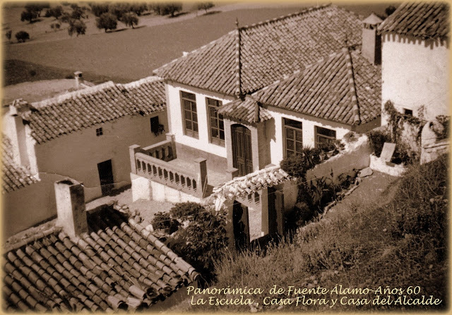 EVOLUCIÓN DE LA VIVIENDA timeline | Timetoast timelines