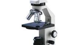 Timeline: The Microscope