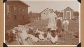 Timeline: The Great Depression