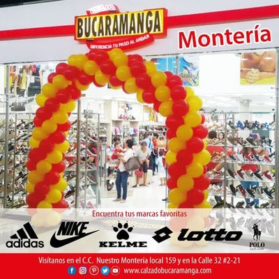 Timeline: Calzado  bucaramanga