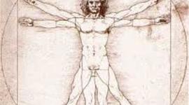 Timeline: Planteamientos de la Antropología sobre el hombre