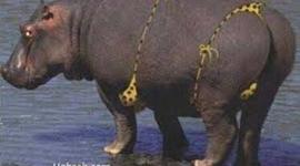 Timeline: The Last 35 Years