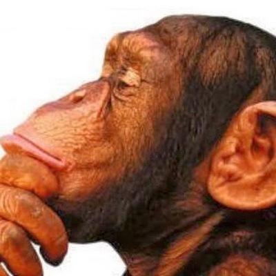 Timeline: HISTORIA DE LA FILOSOFIA