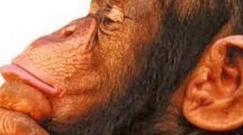 Timeline: HISTORIA DE LA FILOSOFIA