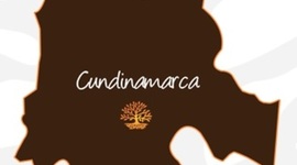 Timeline: DESARROLLO EMPRESARIAL EN CUNDINAMARCA