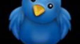 Timeline: New Zealand libraries Twitter timeline