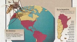 Timeline: Historia del Dengue en el Mundo.