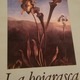 La hojarasca