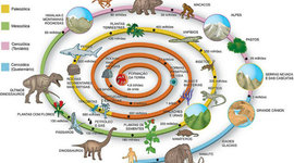 Timeline: Eras Geologicas