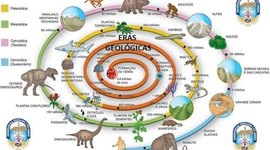 Timeline: Eras geológicas y periodos