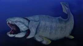 Timeline: EL DUNKLEOSTEUS