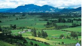 Timeline: EL EMPRESARIADO DE LA SABANA DE BOGOTÁ.