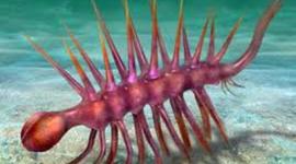 Timeline: LA HALLUCIGENIA