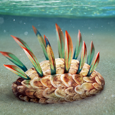 Timeline: LA WIWAXIA