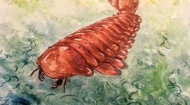 Timeline: EL SANCTACARIS