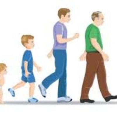 Timeline: Teorías del Aprendizaje y Desarrollo Motor