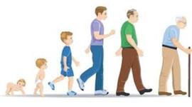 Timeline: Teorías del Aprendizaje y Desarrollo Motor