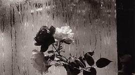 Timeline: Poesía del final del XIX