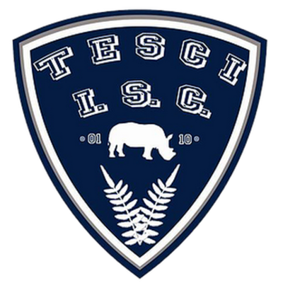 Timeline: Desarrollo Evolutivo De La Ingeniería en Sistemas