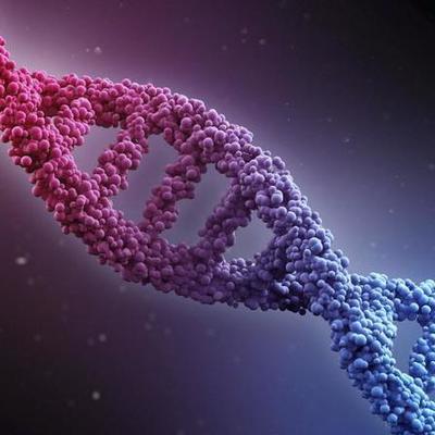 Timeline: Gm Products