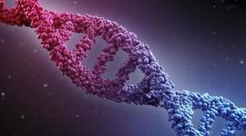 Timeline: Gm Products