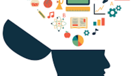 Timeline: educación