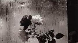 Timeline: Poesía de la segunda mitad del siglo XIX