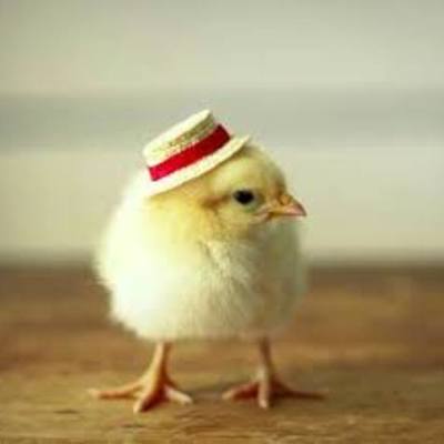 Timeline: EIX CRONOLÒGIC