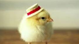 Timeline: EIX CRONOLÒGIC