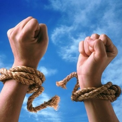 Timeline: R. francesa