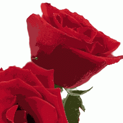 Timeline: A Rose for Emily