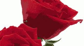 Timeline: A Rose for Emily