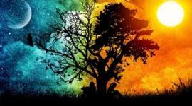 Timeline: PROYECTO DE VIDA